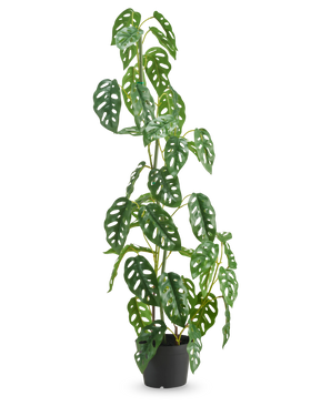 La pianta artificiale Monstera verde da 90 cm è una pianta artificiale alta e verde con foglie ovali con fori multipli, esposta in un vaso su uno sfondo bianco semplice.