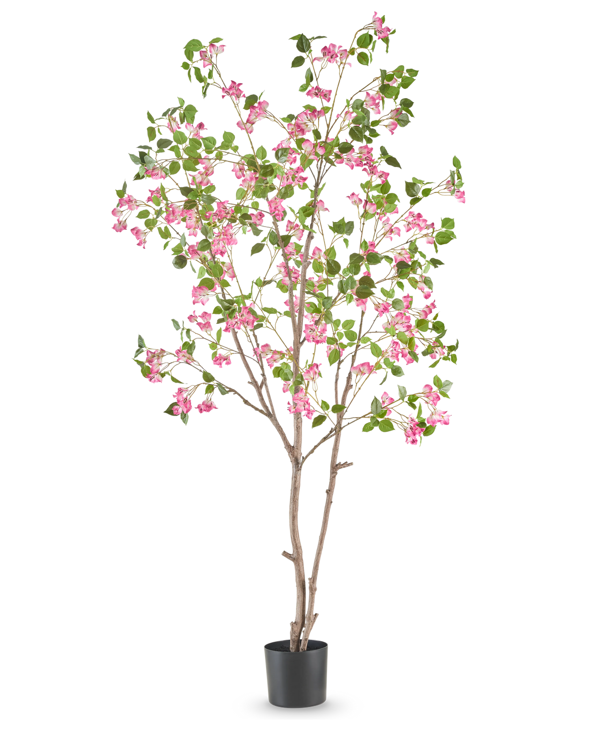 La Bougainvillea artificiale 210 cm è un albero artificiale alto con rami marroni sottili, foglie verdi e mazzi di fiori rosa brillante in un semplice vaso nero su sfondo bianco.