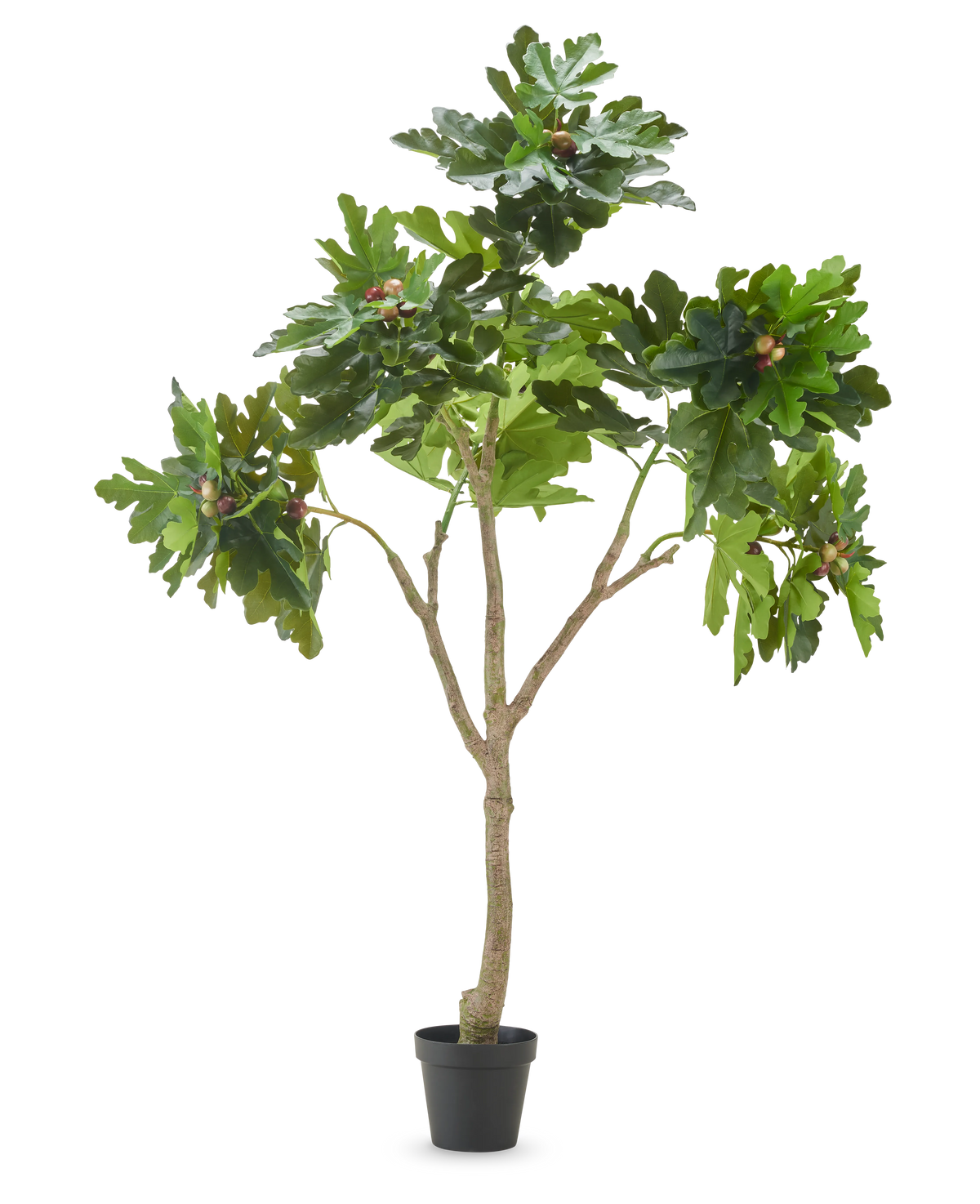 La pianta artificiale Ficus Carica fico 210 cm ha rami multipli, foglie verdi lussureggianti e diversi fichi acerbi su uno sfondo bianco semplice.