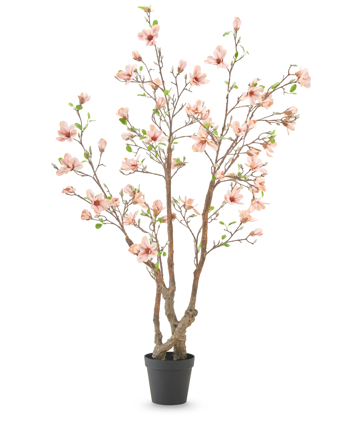 La pianta artificiale Magnolia 220 cm è un albero di magnolia artificiale in vaso con diversi rami marroni, fiori rosa chiaro e foglie verdi in un semplice vaso nero su sfondo bianco.