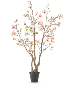 La pianta artificiale Magnolia 220 cm è un albero di magnolia artificiale in vaso con diversi rami marroni, fiori rosa chiaro e foglie verdi in un semplice vaso nero su sfondo bianco.