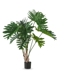 Pianta artificiale Philodendron 150 cm