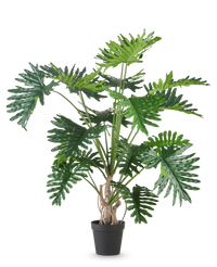 Pianta artificiale Philodendron 180 cm