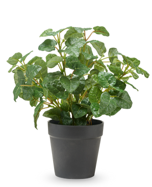 Pumila artificiale in vaso 25 cm UV