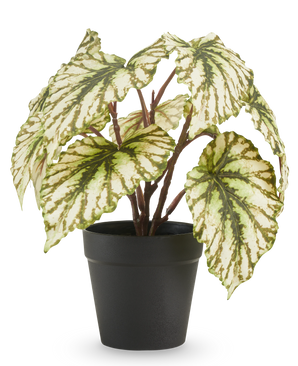 Begonia artificiale in vaso verde 25 cm UV