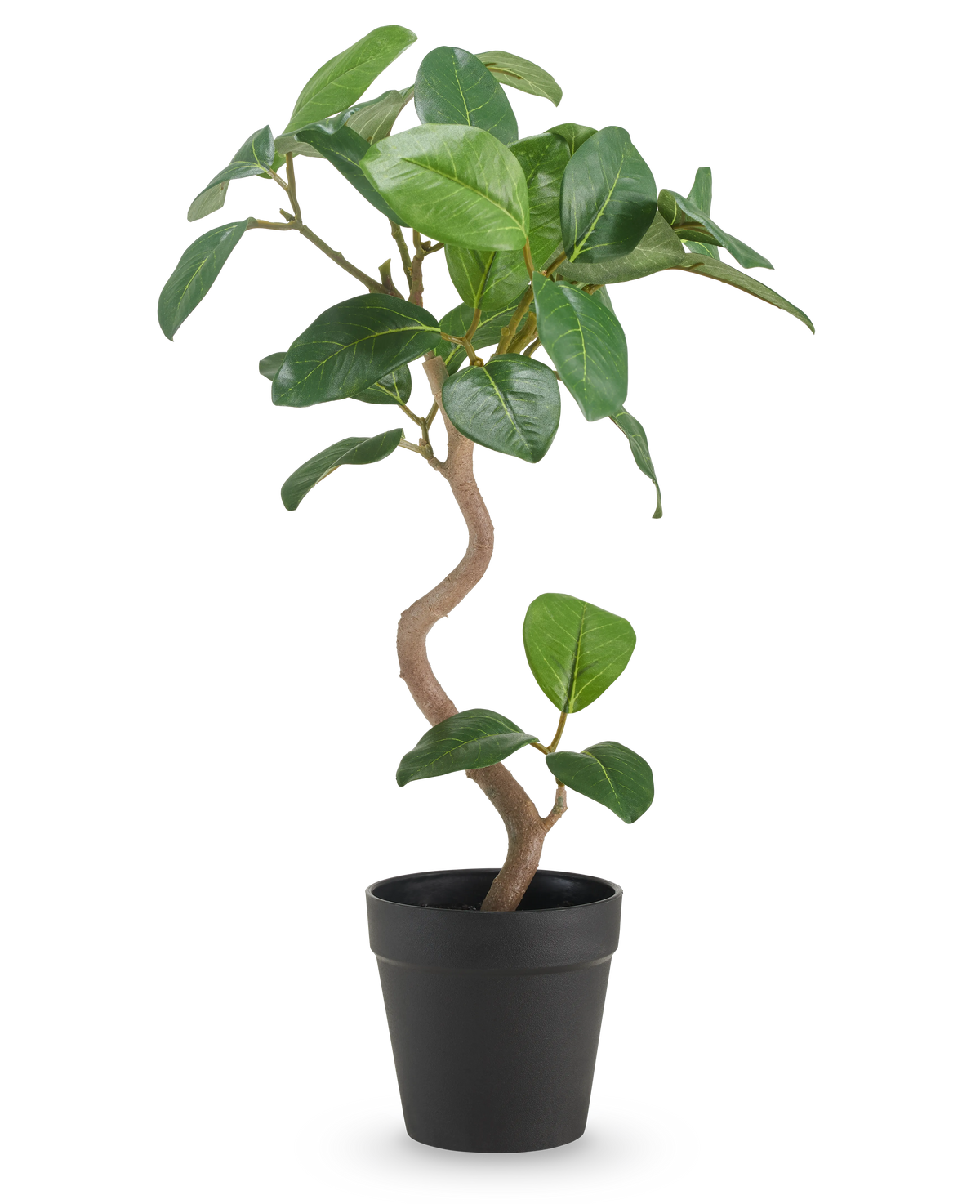 Il Ficus Elastica artificiale da 42 cm ha un tronco contorto e foglie larghe, verdi lucide, presentate in un semplice vaso nero su uno sfondo bianco a tinta unita.