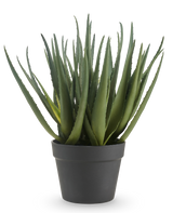 De Kunstplant Aloë 46 cm heeft lange, puntige groene bladeren en wordt geleverd in een eenvoudige donkergrijze pot, tegen een effen witte achtergrond.