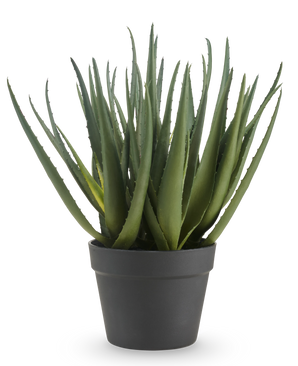 La pianta artificiale di aloe da 46 cm ha foglie verdi lunghe e appuntite e viene fornita in un semplice vaso grigio scuro, su uno sfondo bianco a tinta unita.