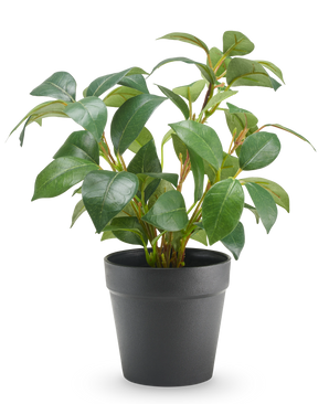 Pianta artificiale di gelsomino in vaso 25 cm UV