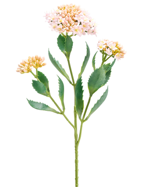Il fiore artificiale Kalanchoe 47 cm rosa ha un unico stelo verde con tre mazzi di piccoli fiori rosa chiaro e color pesca e foglie verdi allungate seghettate, isolate su sfondo bianco.