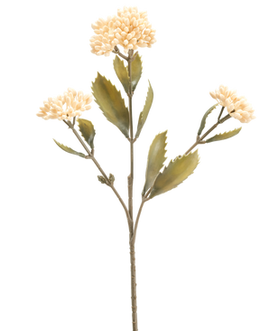 Il fiore artificiale Kalanchoe crema da 47 cm ha un unico stelo artificiale con tre mazzi di piccoli fiori color crema chiaro e foglie seghettate verdi, su uno sfondo bianco semplice.