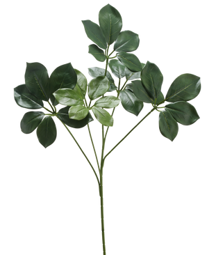 Il Ramo Artificiale Schefflera 50 cm FR ha un unico fusto con diversi mazzi di foglie larghe, verde scuro e alcune foglie verde più chiaro, su sfondo bianco.