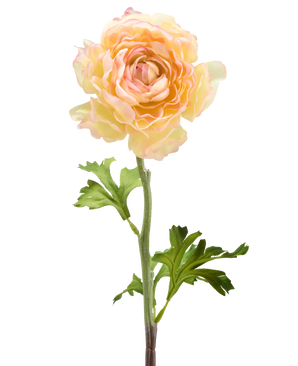 Il fiore artificiale Ranunculus 51 cm rosa salmone ha un singolo fiore di ranuncolo artificiale in tenui tonalità rosa salmone con petali stratificati e foglie verdi su un lungo stelo, su uno sfondo bianco.