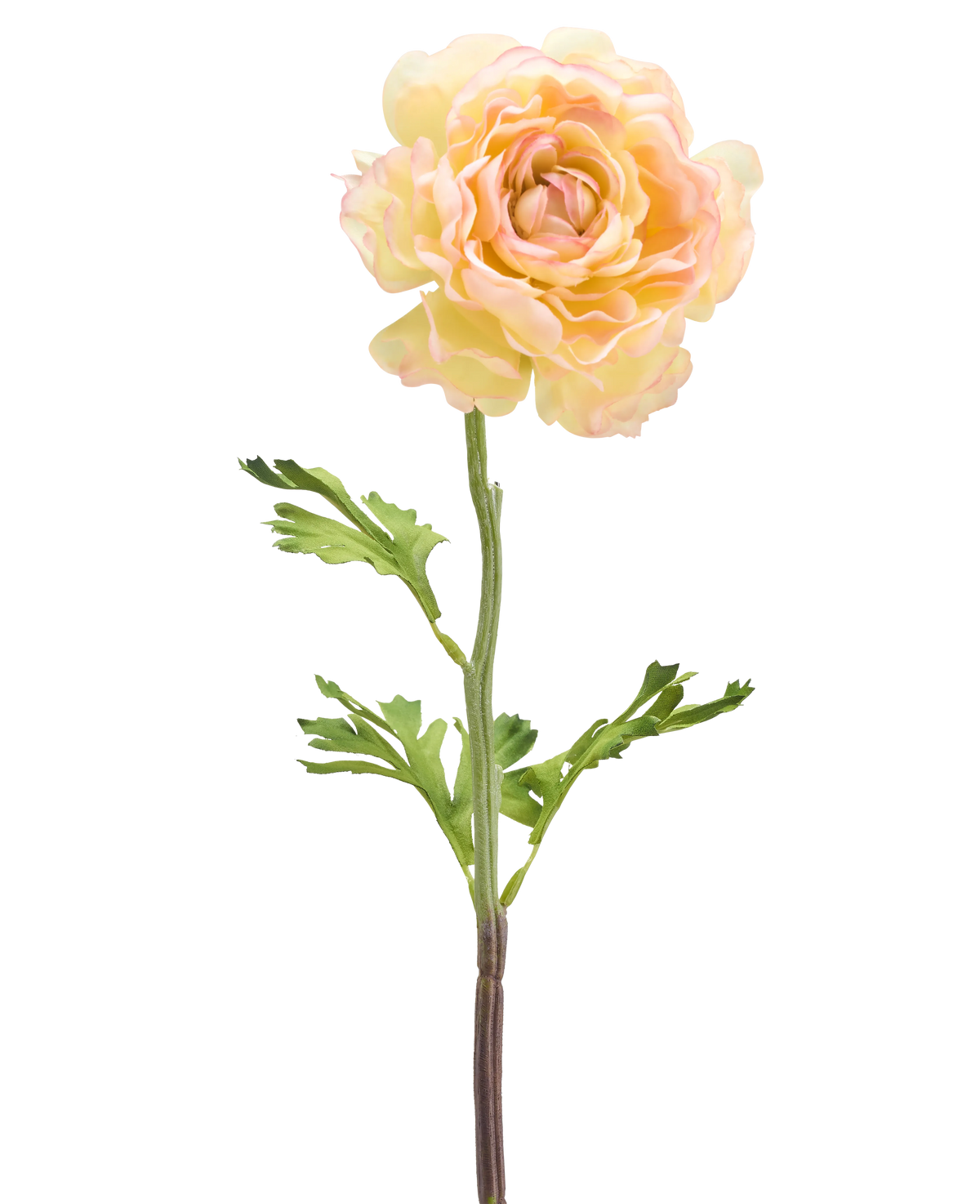 Un fiore artificiale Ranuncolo 51 cm bianco chiaro: un singolo fiore ranuncolo artificiale chiaro con petali bianchi chiari, foglie verdi e un lungo stelo su uno sfondo bianco.