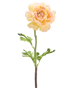 Un fiore artificiale Ranuncolo 51 cm bianco chiaro: un singolo fiore ranuncolo artificiale chiaro con petali bianchi chiari, foglie verdi e un lungo stelo su uno sfondo bianco.