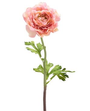 Il fiore artificiale Ranunculus rosa da 51 cm ha un singolo ranuncolo rosa con petali stratificati e foglie verdi su un lungo stelo, isolato su uno sfondo bianco.