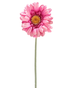 Il fiore artificiale Gerbera 53 cm rosa scuro è una singola margherita artificiale rosa scuro con un cuore giallo su un lungo stelo verde, isolata su sfondo bianco.