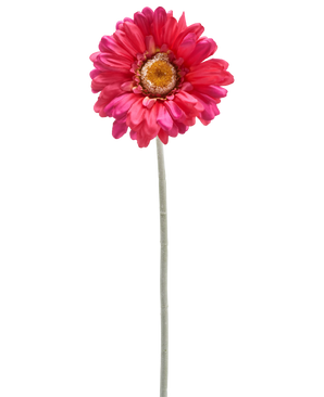 Un unico fiore di Gerbera artificiale di 53 cm bordeaux con un lungo gambo verde, isolato su sfondo bianco.