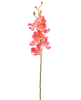 De Kunstbloem Orchidee 55 cm roze heeft een enkele steel met levendige roze orchidee bloemen met meerdere open bloemen en knoppen, tegen een effen witte achtergrond.