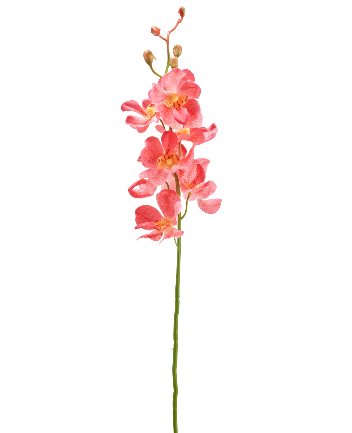 Il fiore artificiale di orchidea rosa da 55 cm ha un unico stelo con vivaci fiori di orchidea rosa con molteplici fiori aperti e boccioli, su uno sfondo bianco semplice.