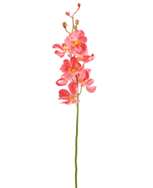 Il fiore artificiale di orchidea rosa da 55 cm ha un unico stelo con vivaci fiori di orchidea rosa con molteplici fiori aperti e boccioli, su uno sfondo bianco semplice.