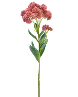 Een enkele stengel van de Kunstbloem Sedum 57 cm mauve is voorzien van trossen kleine, stervormige mauve bloemen en groene bladeren, afgebeeld tegen een witte achtergrond.