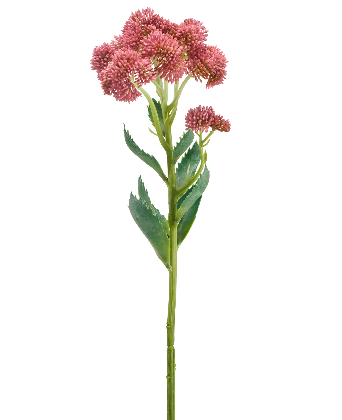 Un singolo stelo del fiore artificiale Sedum malva da 57 cm presenta mazzi di piccoli fiori color malva a forma di stella e foglie verdi, raffigurati su uno sfondo bianco.
