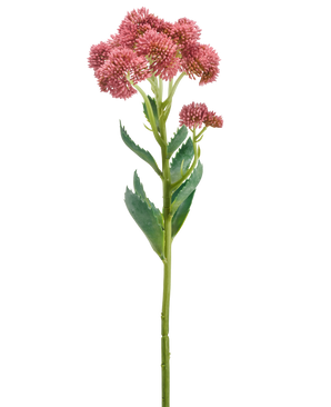 Un singolo stelo del fiore artificiale Sedum malva da 57 cm presenta mazzi di piccoli fiori color malva a forma di stella e foglie verdi, raffigurati su uno sfondo bianco.