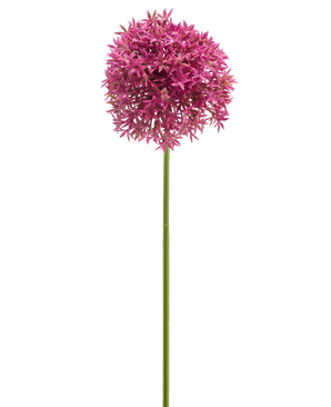 Il Fiore Artificiale Mini Allium 60 cm malva presenta un lungo stelo verde sormontato da un grande grappolo sferico di piccoli fiori color malva a forma di stella, raffigurati su sfondo bianco.