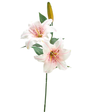 Il fiore artificiale Giglio bianco/rosa da 66 cm ha un unico stelo con due gigli bianchi e rosa aperti, un bocciolo giallo chiuso e foglie verdi, su uno sfondo bianco semplice.