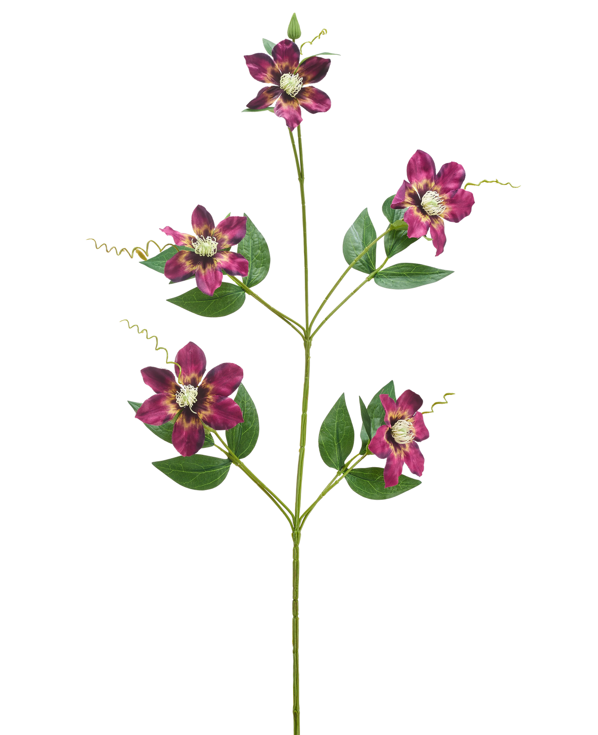 Il fiore artificiale Celematis 78 cm viola ha un unico stelo verde con cinque fiori viola che sbocciano, ciascuno con petali appuntiti e un cuore giallo, circondati da foglie verdi e viticci arricciati, isolati su uno sfondo bianco.