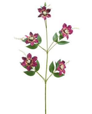 Il fiore artificiale Celematis 78 cm viola ha un unico stelo verde con cinque fiori viola che sbocciano, ciascuno con petali appuntiti e un cuore giallo, circondati da foglie verdi e viticci arricciati, isolati su uno sfondo bianco.