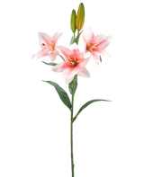 Een enkele steel van Kunstbloem Lelie 78 cm wit/roze heeft drie roze en witte lelies in bloei, twee gesloten knoppen en groene bladeren, tegen een effen witte achtergrond.