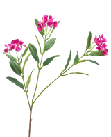 De Kunstbloem Catharanthus 68 cm paars heeft trossen levendige paarse bloemen en slanke groene bladeren op een witte achtergrond.