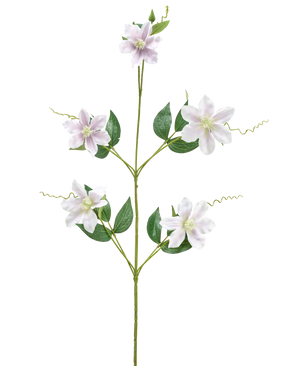 Il fiore artificiale Celematis bianco da 78 cm ha un unico stelo verde con cinque fiori bianchi a forma di stella, molteplici foglie verdi disposte simmetricamente e viticci arricciati. Lo sfondo è bianco semplice.