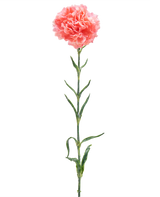 De Kunstbloem Anjer 68 cm zalm roze is een enkele kunstanjer met ruches van zalmroze bloemblaadjes, een lange groene steel en verschillende groene bladeren, geïsoleerd op een witte achtergrond.