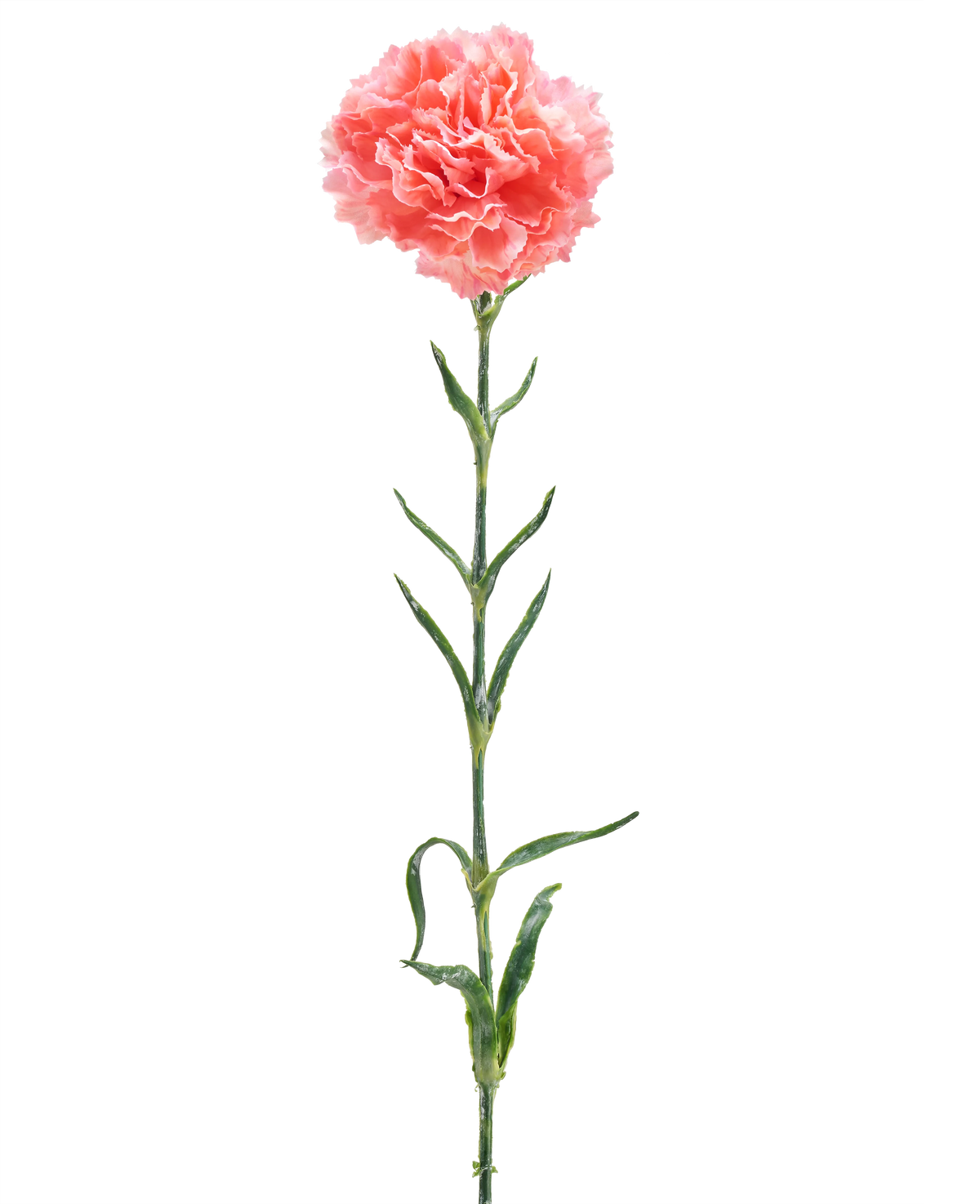 Il fiore artificiale Garofano 68 cm rosa salmone è un singolo garofano artificiale con volant di petali rosa salmone, un lungo stelo verde e diverse foglie verdi, isolate su uno sfondo bianco.