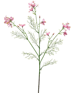 Il fiore artificiale Wild Delphinium 71 cm rosa chiaro ha un unico stelo verde con foglie piumate e diversi mazzi di delicati fiori rosa chiaro su uno sfondo bianco semplice.