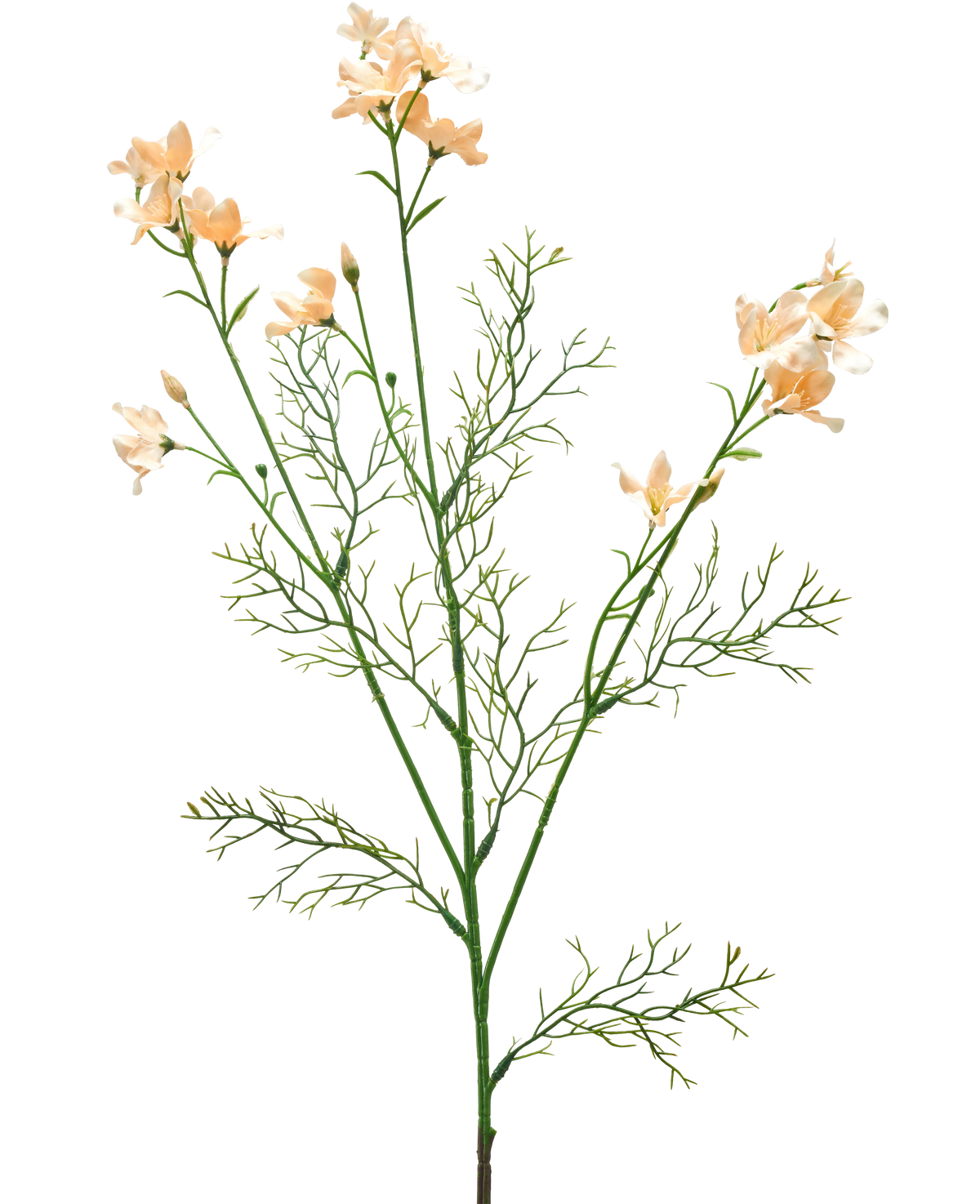 Il fiore artificiale Wild Delphinium 71 cm crema chiaro ha un delicato stelo artificiale con fiori color crema chiaro e sottili foglie verde chiaro come una piuma, su uno sfondo bianco a tinta unita.