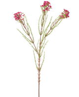 De Kunstbloem Wax 78 cm oud roze heeft een enkele groene stengel met dunne, naaldachtige bladeren en trosjes kleine, oudroze bloemen aan de uiteinden, geïsoleerd op een witte achtergrond.