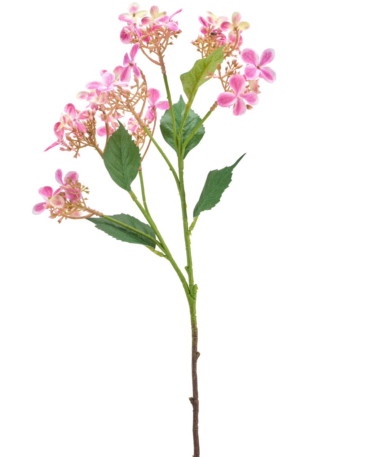 Il fiore artificiale Ortensia selvatica 62 cm rosa ha un unico stelo con diversi mazzi di piccoli fiori rosa e bianchi e foglie verdi, isolati su sfondo bianco.