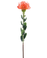 Een enkele Kunstbloem Mini Protea 61 cm oranje met een piekerige oranje bloem en groene bladeren tegen een effen witte achtergrond.