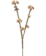 De Kunstbloem Ozothamnus diosmifolius 57 cm creme/bruin heeft een enkele gedroogde stengel met twee takken, elk met clusters van kleine, ronde, beige en bruine stekelige bloemen tegen een effen witte achtergrond.