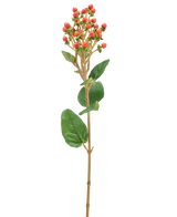 Een enkele Kunstbloem Hypericum van 65 cm met trossen kleine oranje/rode bessen en groene bladeren tegen een lichte achtergrond.