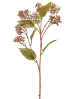 De Kunstbloem Sedum 67 cm bruin heeft een enkele bruin met groene kunstplantstengel met trosjes kleine bruine knoppen en verschillende groene bladeren, geïsoleerd op een witte achtergrond.