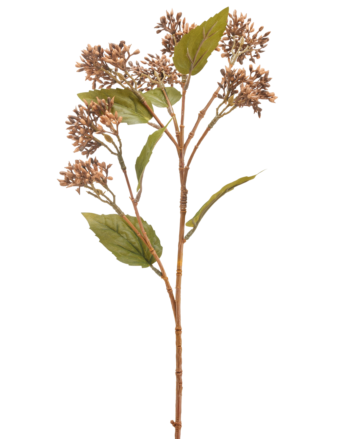 Il fiore artificiale Sedum marrone 67 cm ha un unico stelo di pianta artificiale marrone e verde con mazzi di piccoli boccioli marroni e diverse foglie verdi, isolate su uno sfondo bianco.