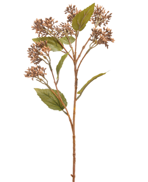 Il fiore artificiale Sedum marrone 67 cm ha un unico stelo di pianta artificiale marrone e verde con mazzi di piccoli boccioli marroni e diverse foglie verdi, isolate su uno sfondo bianco.