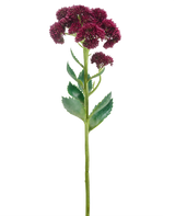 Een enkele Kunstbloem Sedum 57 cm paars heeft een lange groene stengel met trosjes kleine donkerpaarse bloemen en groene bladeren, geïsoleerd op een witte achtergrond.