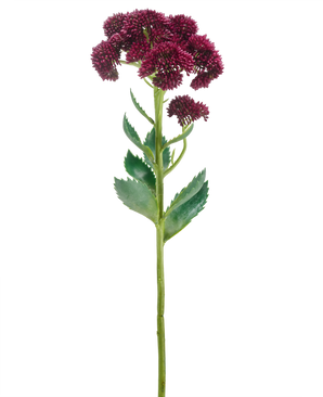 Un singolo fiore artificiale Sedum viola da 57 cm ha un lungo stelo verde con mazzi di piccoli fiori viola scuro e foglie verdi, isolati su sfondo bianco.