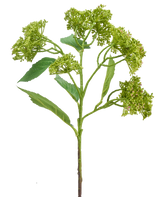 Een Kunstbloem Hortensia 56 cm groen/rood met een groene stengel met trosjes compacte groene knoppen en langwerpige bladeren, afgebeeld tegen een witte achtergrond.